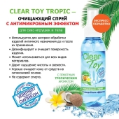 Очищающий спрей для игрушек CLEAR TOY Tropic - 100 мл. - Биоритм - купить с доставкой в Шахтах