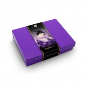 Подарочный набор Naughter Kit - Shunga - купить с доставкой в Шахтах