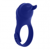 Синее эрекционное виброкольцо с клиторальной подушечкой и пультом ДУ Adjustable Fun Ring - Zero Tolerance - в Шахтах купить с доставкой
