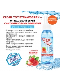 Очищающий спрей для игрушек CLEAR TOY Strawberry - 100 мл. - Биоритм - купить с доставкой в Шахтах