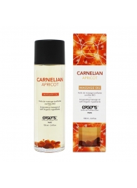 Органическое массажное масло CARNELIAN APRICOT - 100 мл. - Exsens - купить с доставкой в Шахтах