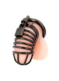 Черная металлическая клетка с замком Deluxe Chastity Cage - BlueLine - купить с доставкой в Шахтах