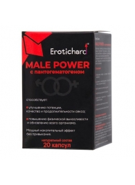 Капсулы для мужчин Erotichard male power с пантогематогеном - 20 капсул (0,370 гр.) - Erotic Hard - купить с доставкой в Шахтах