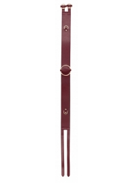 Бордовый ремень Halo Waist Belt - размер L-XL - Shots Media BV - купить с доставкой в Шахтах