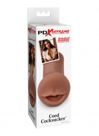 Мастурбатор-ротик Coed Cocksucker - Pipedream - в Шахтах купить с доставкой