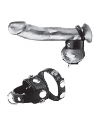 Утяжка для мошонки и пениса Cock Ring With 1  Ball Stretcher And Optional Weight Ring - BlueLine - купить с доставкой в Шахтах