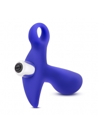 Синий стимулятор простаты с ручкой-кольцом Performance Prostimulator 02 - Blush Novelties - в Шахтах купить с доставкой