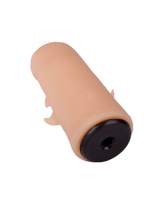 Черный пояс-трусики с двумя насадками  Экзотик-Sara  - 16,5 и 11 см. - LOVETOY (А-Полимер) - купить с доставкой в Шахтах