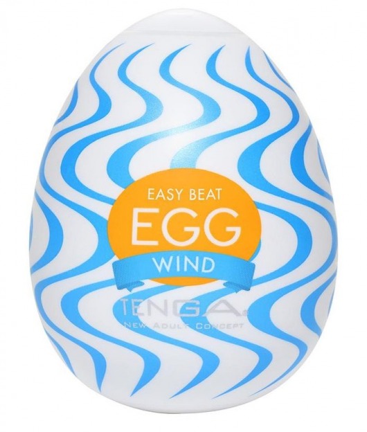 Мастурбатор-яйцо WIND - Tenga - в Шахтах купить с доставкой