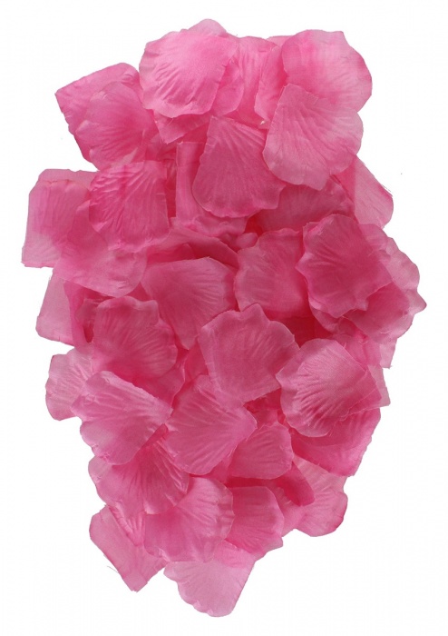 Эротический набор FANTASTIC PURPLE SEX TOY KIT - Toy Joy - купить с доставкой в Шахтах