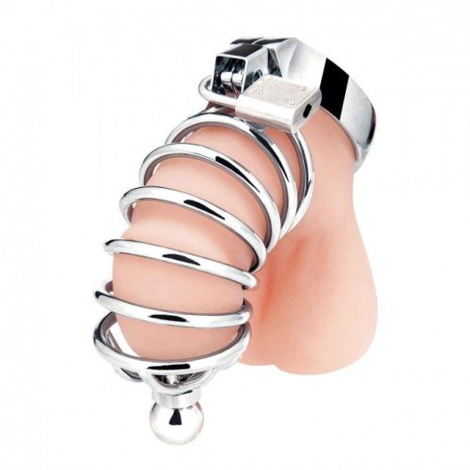 Серебристая клетка для члена Urethral Play Cage - BlueLine - купить с доставкой в Шахтах
