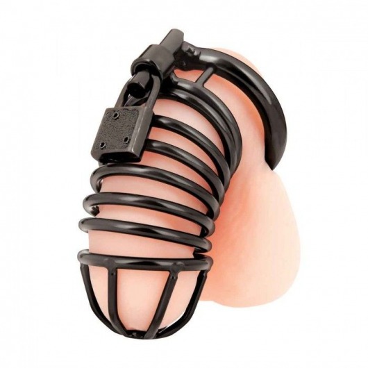 Черная металлическая клетка с замком Deluxe Chastity Cage - BlueLine - купить с доставкой в Шахтах