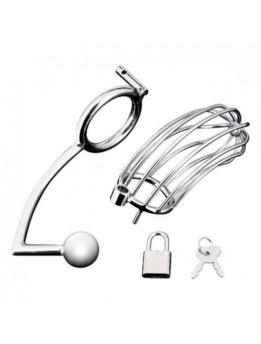 Серебристая металлическая клетка с анальным стимулятором Cock Cage - BlueLine - купить с доставкой в Шахтах