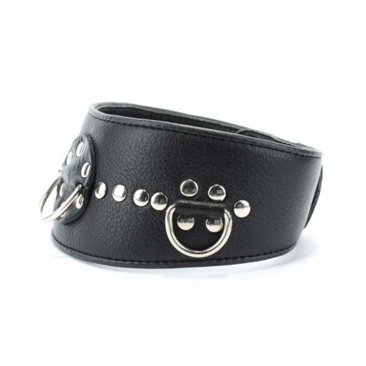 Чёрный кожаный ошейник с полукольцами и клёпками - БДСМ Арсенал - купить с доставкой в Шахтах