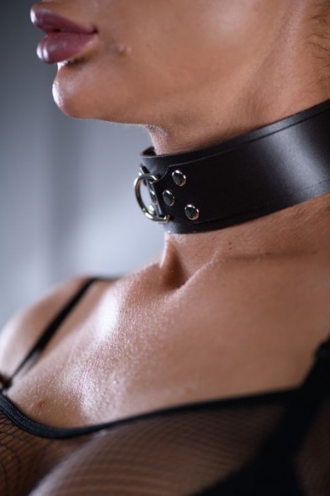 Коричневый ошейник Sex Game с поводком - БДСМ Арсенал - купить с доставкой в Шахтах