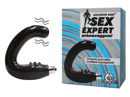 Чёрный массажёр простаты серии Sex Expert - Sex Expert - в Шахтах купить с доставкой