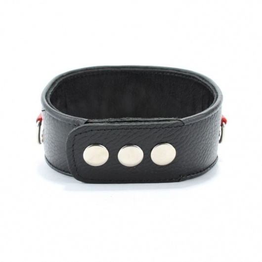 Кожаный ошейник с металлическими клепками - БДСМ Арсенал - купить с доставкой в Шахтах