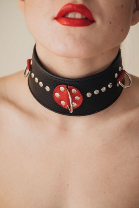 Кожаный ошейник с металлическими клепками - БДСМ Арсенал - купить с доставкой в Шахтах