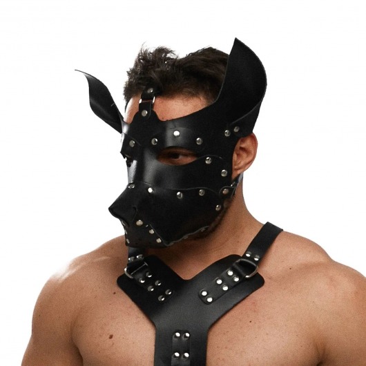 Черная кожаная маска «Собака» - Crazy Handmade - купить с доставкой в Шахтах