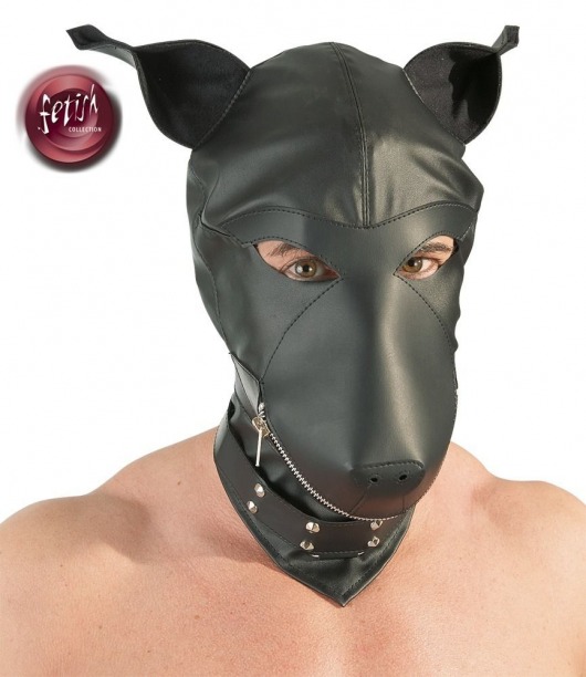 Шлем-маска Dog Mask в виде морды собаки - Orion - купить с доставкой в Шахтах