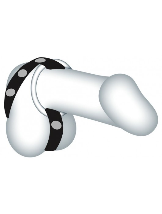 Подхват для мошонки с 3 съемными эрекционными кольцами Leder-Riemen - Orion - в Шахтах купить с доставкой