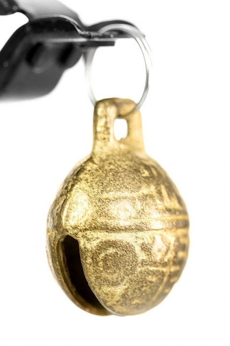 Черно-золотистые зажимы для сосков TOYFA Theatre - ToyFa - купить с доставкой в Шахтах